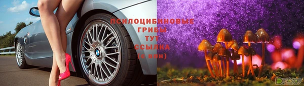 дурь Алзамай
