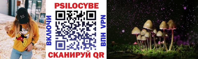 хочу   Владимир  Псилоцибиновые грибы MAGIC MUSHROOMS 