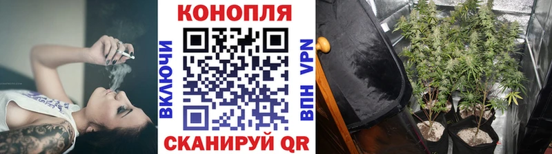 Марихуана VHQ Владимир