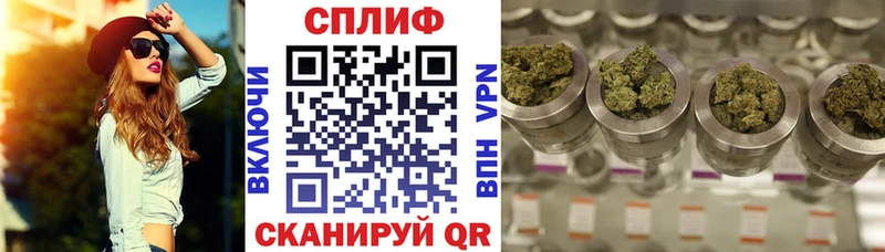 где можно купить   Владимир  Каннабис ГИДРОПОН 
